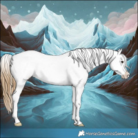 Horse Color:Smoky Black Appaloosa 