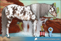 Horse Color:White Spotted Liver Chestnut Ice Tobiano Appaloosa 