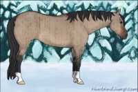 Horse Color:Brown Dun Brindle 
