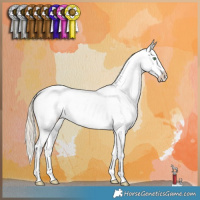 Horse Color:Chocolate Palomino Dun Appaloosa 