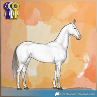 Horse Color:Liver Red Dun Appaloosa Brindle 