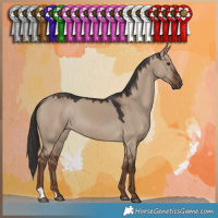 Horse Color:Liver Red Dun 