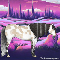 Horse Color:Bay Dun Splash Tobiano 