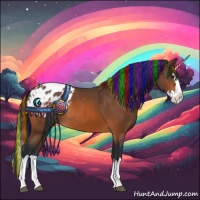 Horse Color:Painted Bay Sabino Splash Appaloosa 
