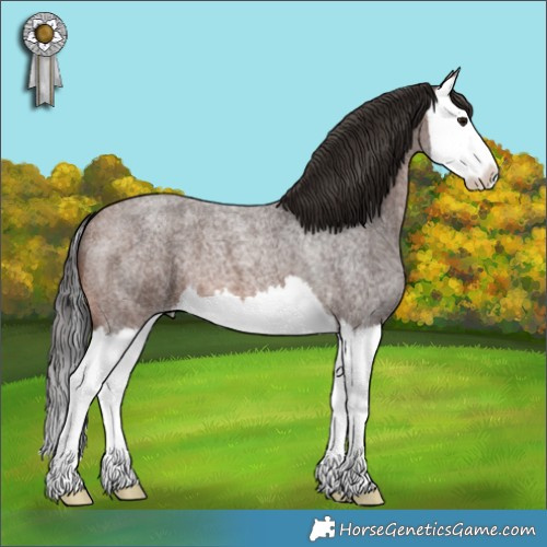 Horse Color:Brown Roan Splash 