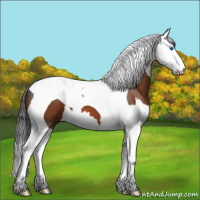 Horse Color:Bay Splash Tobiano 