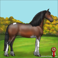Horse Color:Brown Tobiano 