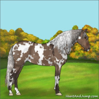 Horse Color:White Spotted Silver Brown Dun 