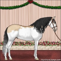 Horse Color:Bay Dun Splash Frame