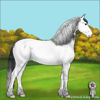 Horse Color:White Spotted Black Splash Tobiano 