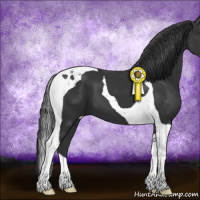 Horse Color:Black Tobiano