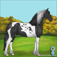 Horse Color:Black Tobiano 