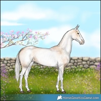 Horse Color:White Spotted Silver Bay Dun Splash 