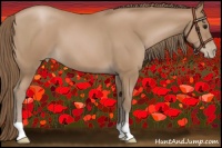 Horse Color:Black Pearl 
