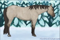 Horse Color:Smoky Grullo Roan 