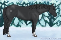 Horse Color:Black Sabino