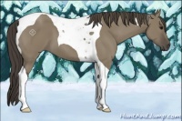 Horse Color:Smoky Grullo Tobiano 