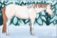 Horse Color:Sable Cream Champagne Pearl Dun Tobiano 