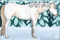 Horse Color:Perlino Tobiano Frame