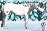 Horse Color:Smoky Blue Roan Tobiano Frame