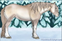 Horse Color:Chocolate Palomino Pearl Onyx 