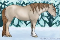 Horse Color:Smoky Black Pearl 