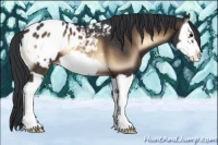 Horse Color:Brown Onyx Splash Frame Appaloosa 