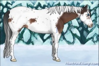 Horse Color:Brown Splash Tobiano Frame Blanket