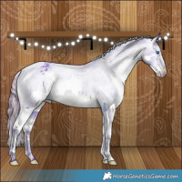 Horse Color:Watercolor Smoky Black Splash Appaloosa 