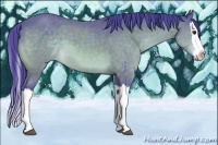 Horse Color:Watercolor Brown Splash 