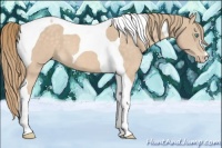 Horse Color:Perlino Tobiano 
