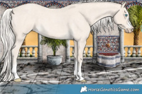 Horse Color:Cremello Roan