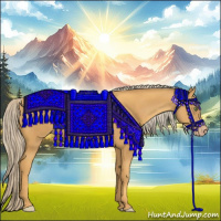 Horse Color:Gold Cream Champagne
