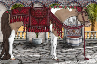Horse Color:Classic Champagne Tobiano 
