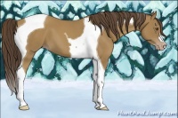 Horse Color:Classic Cream Champagne Tobiano 