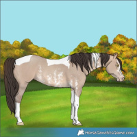 Horse Color:Sable Champagne Dun Sabino Tobiano