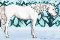 Horse Color:Smoky Creme Tobiano 