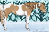 Horse Color:Chestnut Tobiano