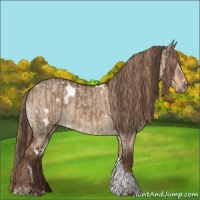 Horse Color:White Spotted Liver Red Dun Splash Tobiano  and White Spotted Liver Red Dun Tobiano 