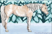 Horse Color:White Spotted Silver Amber Champagne 