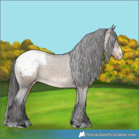 Horse Color:White Spotted Brown Dun Splash Snowcap 