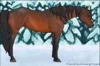 Horse Color:Brown 