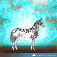 Horse Color:Brown Splash Frame Appaloosa Rabicano 