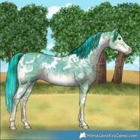 Horse Color:Painted Watercolor White Spotted Liver Red Dun Ice Brindle 