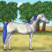 Horse Color:Watercolor White Spotted Liver Red Dun Ice Onyx 