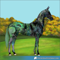 Horse Color:ERROR: UNKNOWN ANOMALY