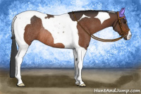 Horse Color:Brown Tobiano Rabicano 