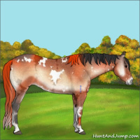 Horse Color:White Spotted Brown Ice Onyx 