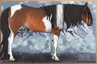 Horse Color:Brown Tobiano Rabicano 
