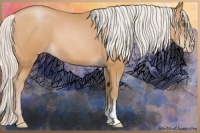 Horse Color:Silver Bay Pearl 